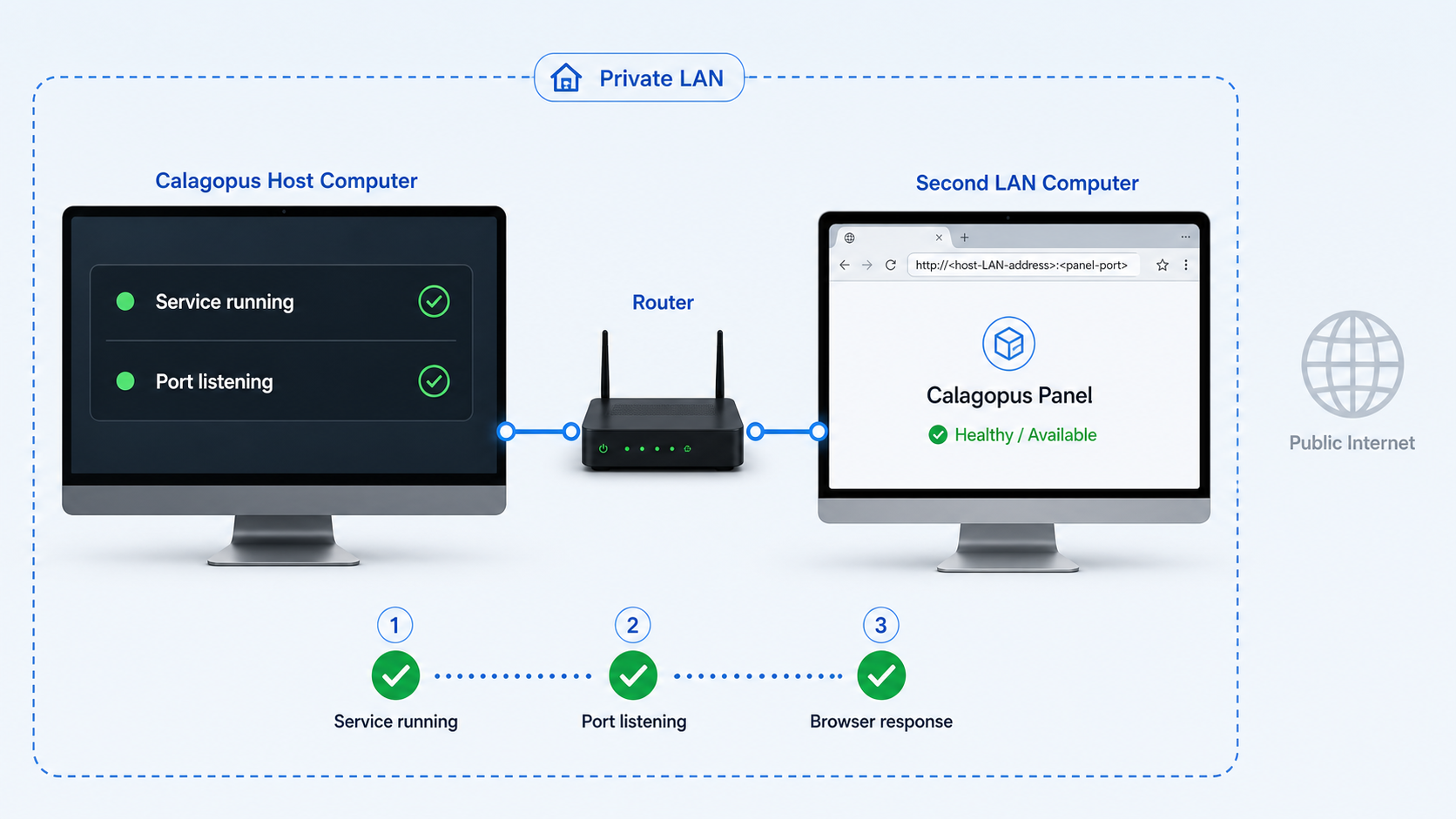 Browser verifying the Calagopus Panel through its local network endpoint