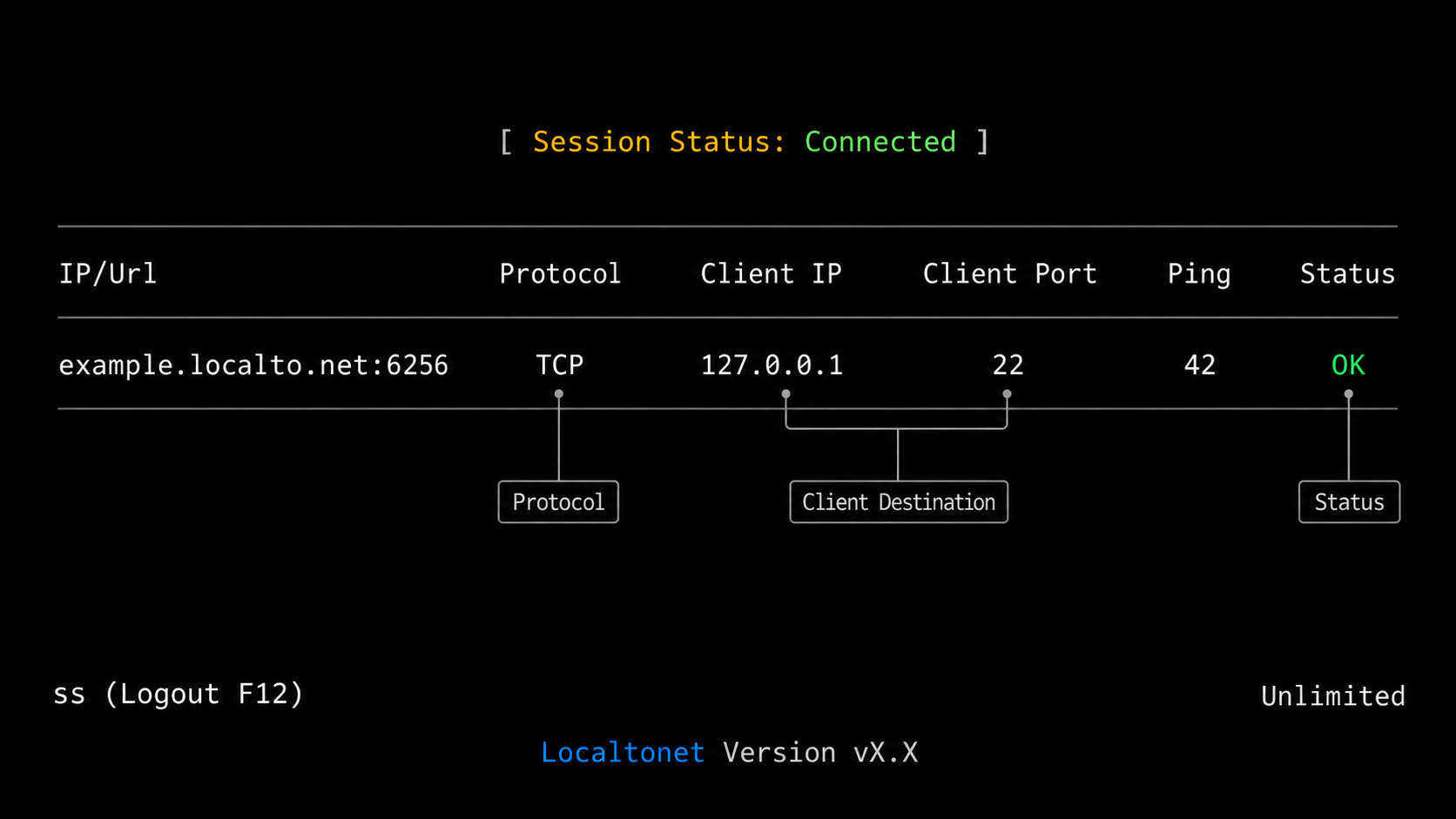 Localtonet dashboard displaying a connected TCP tunnel targeting Raspberry Pi SSH at 127.0.0.1 port 22