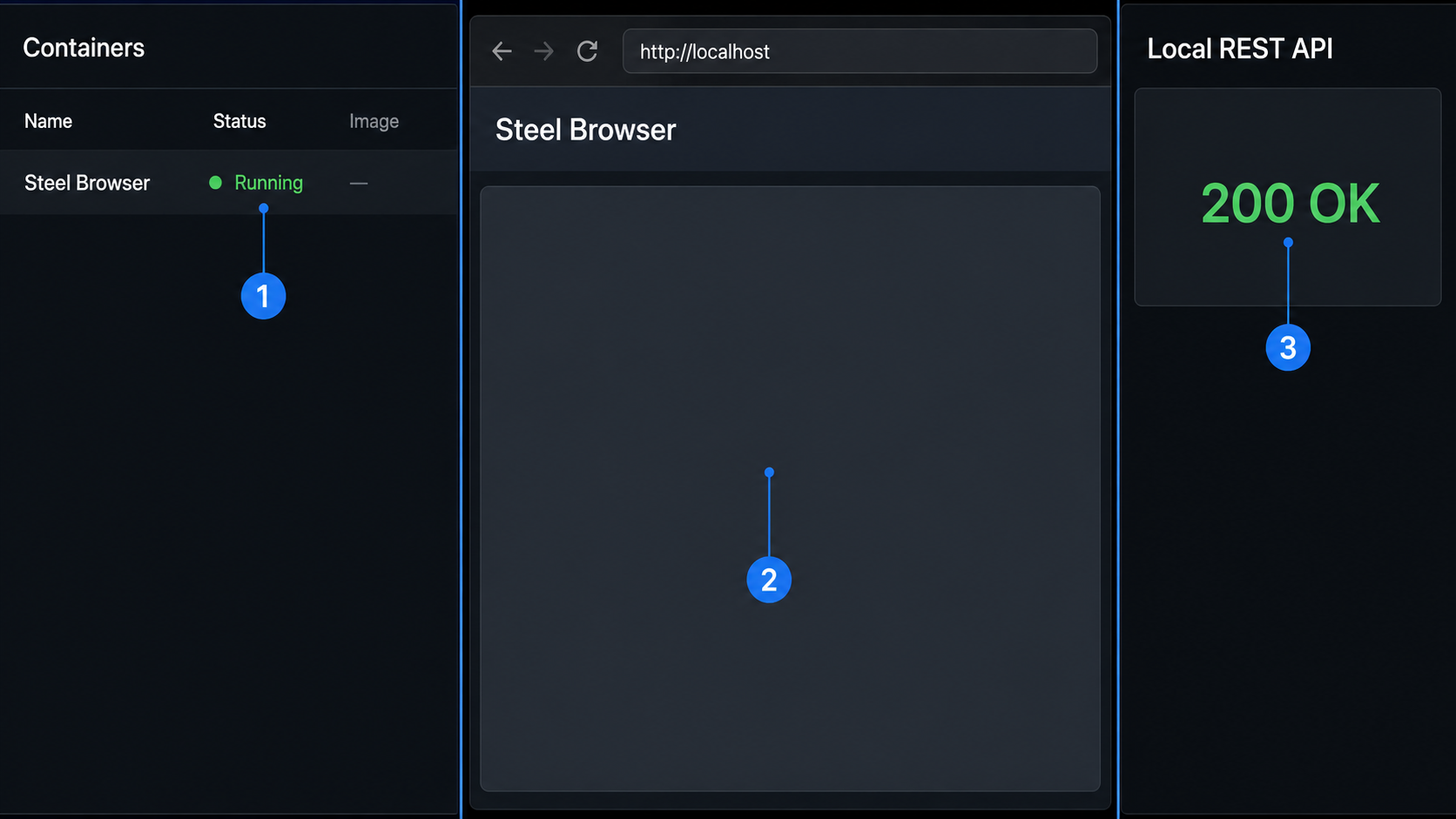 Local Steel verification showing running containers, the web interface, and a successful API response.